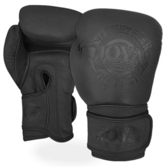 Joya (Kick)Bokshandschoenen Fight Fast - Mat Zwart